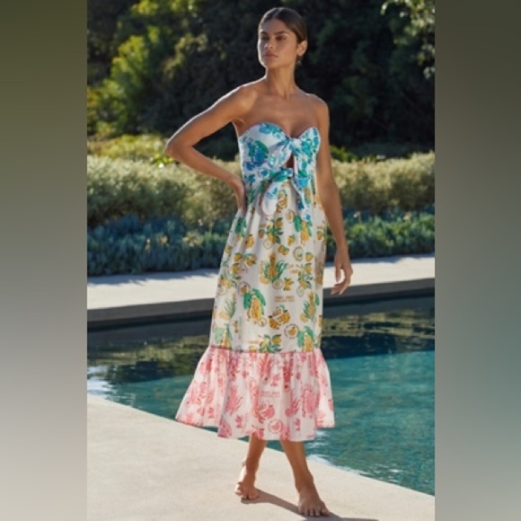 Farm Rio Dresses & Skirts - Farm Rio Anthropologie Tiered Cutout Cover-Up Midi Dress Tube Smocked